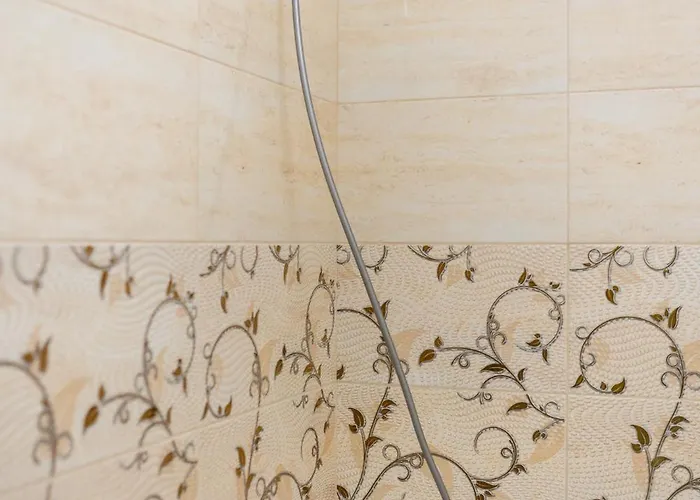 Carol Park Paradise *